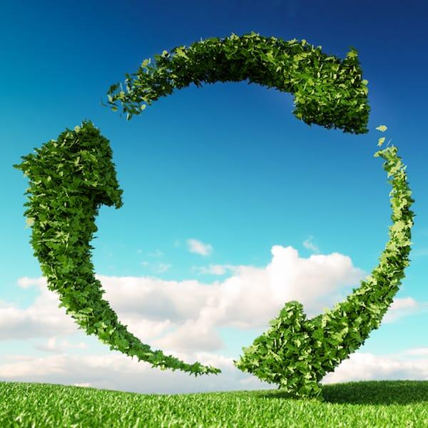 Afbeelding met groene pijlen in een cirkel